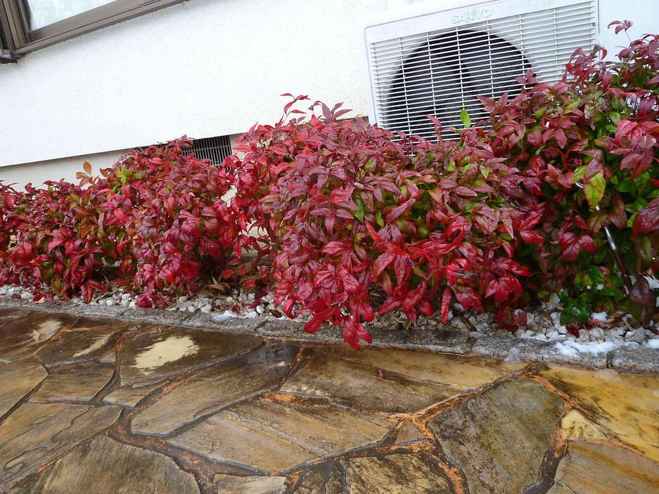 造園管理の画像