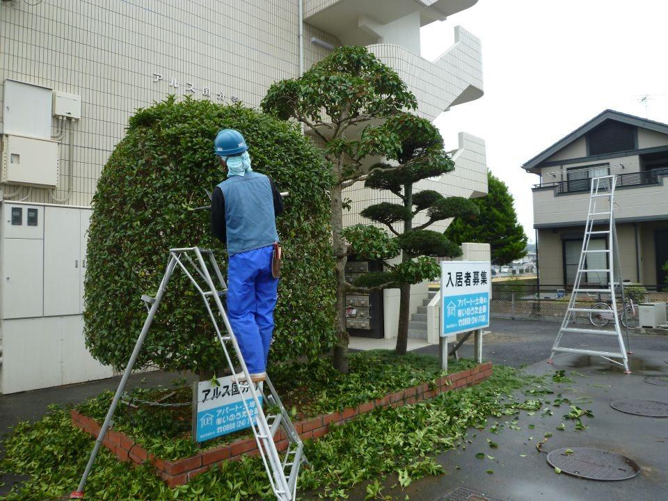 造園管理の画像