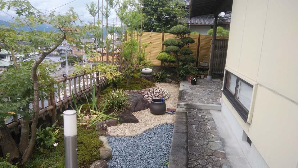 ダイスギと苔の庭の画像